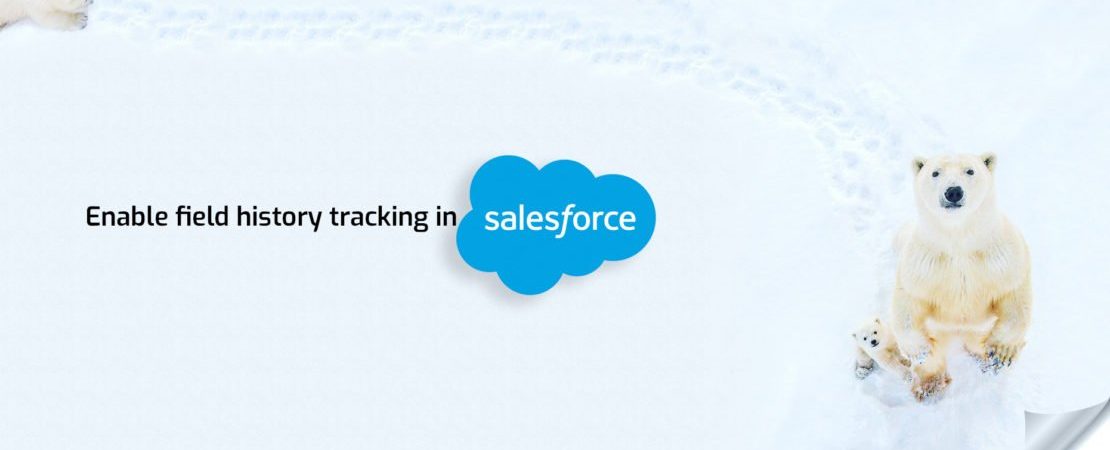 How to enable Field history tracking in Salesforce? Steps to follow