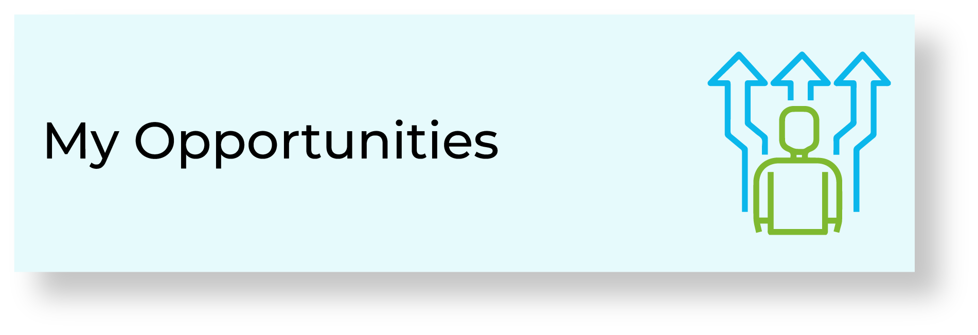 My Opportunities