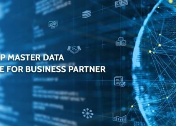 Master Data Governance for Business Partne