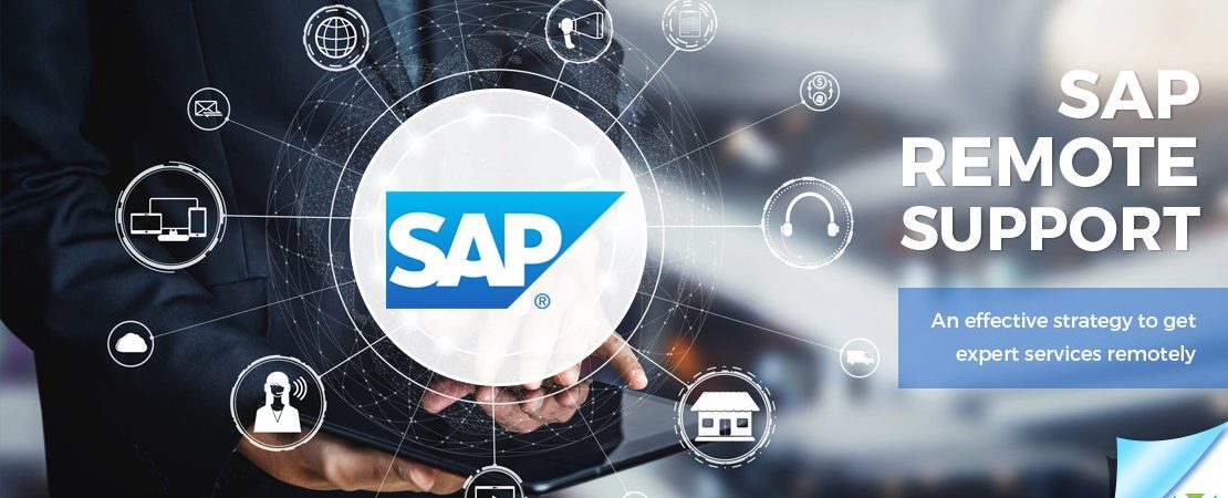SAP-remote-support SAP-remote-support