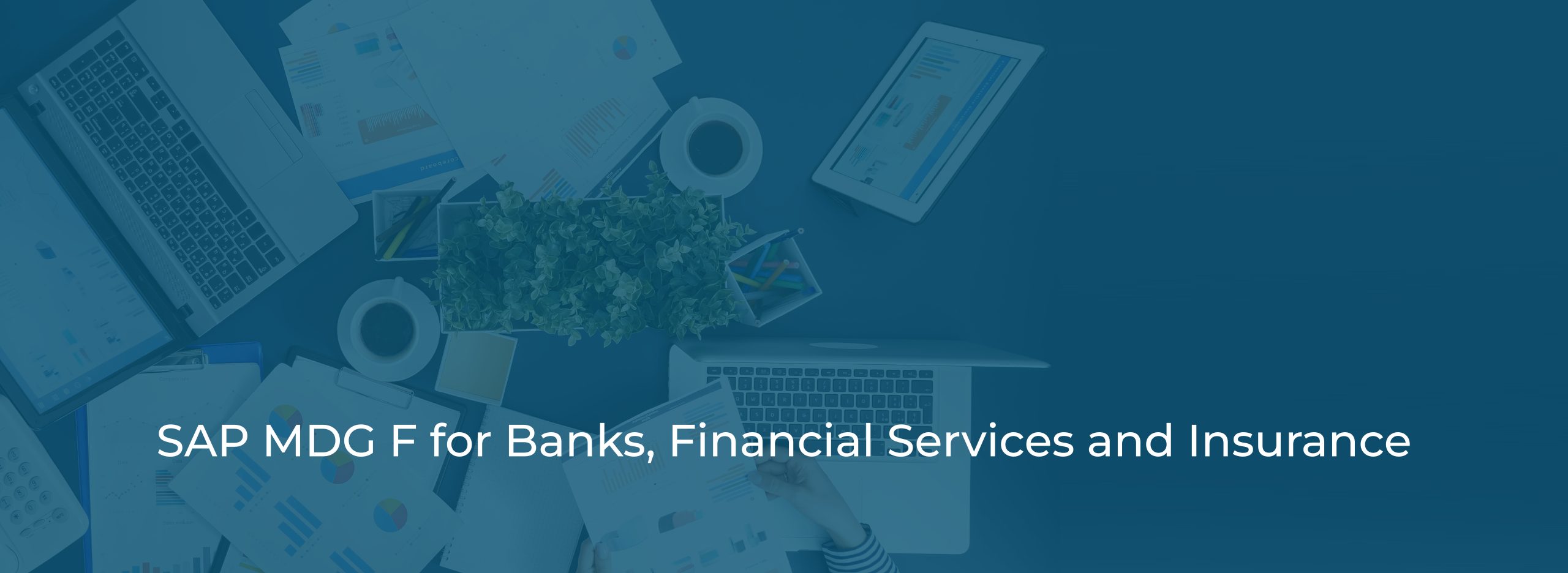 SAP MDG F for Banks, Financial Services and Insurance