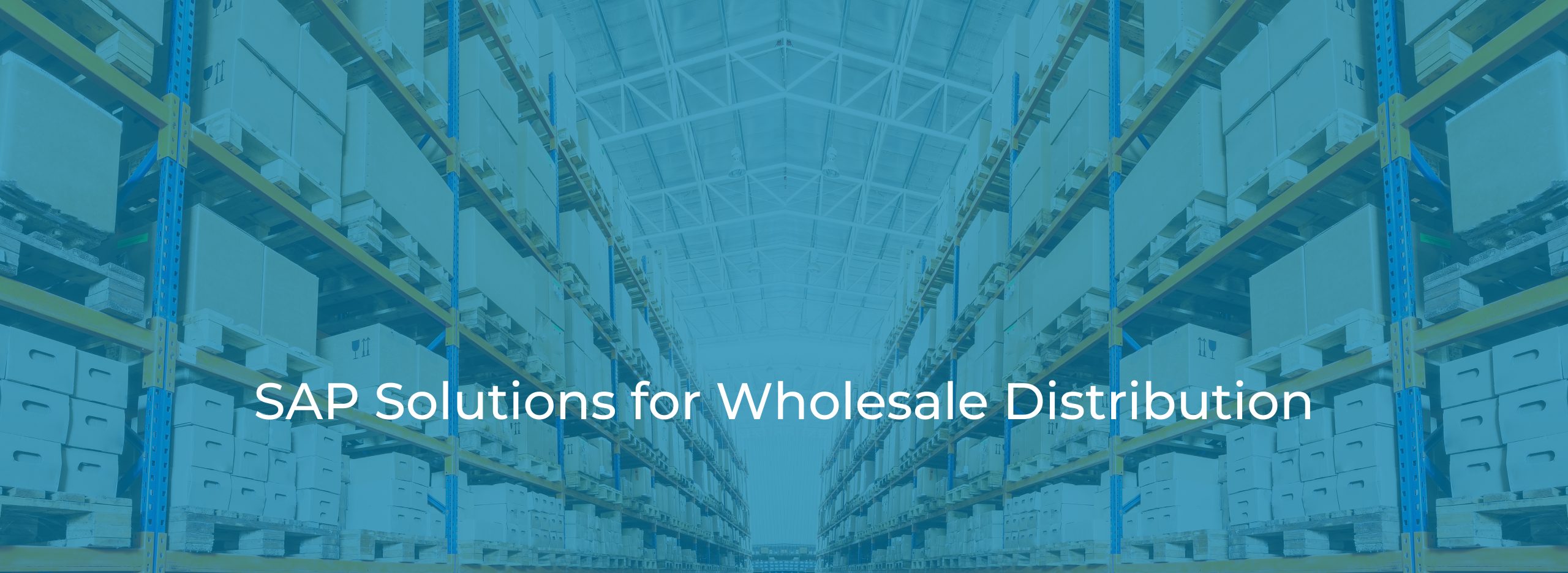 SAP Solutions for Wholesale Distribution Industry banner