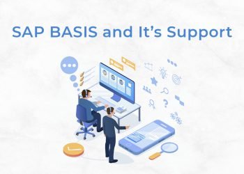 SAP BASIS and It's support copy