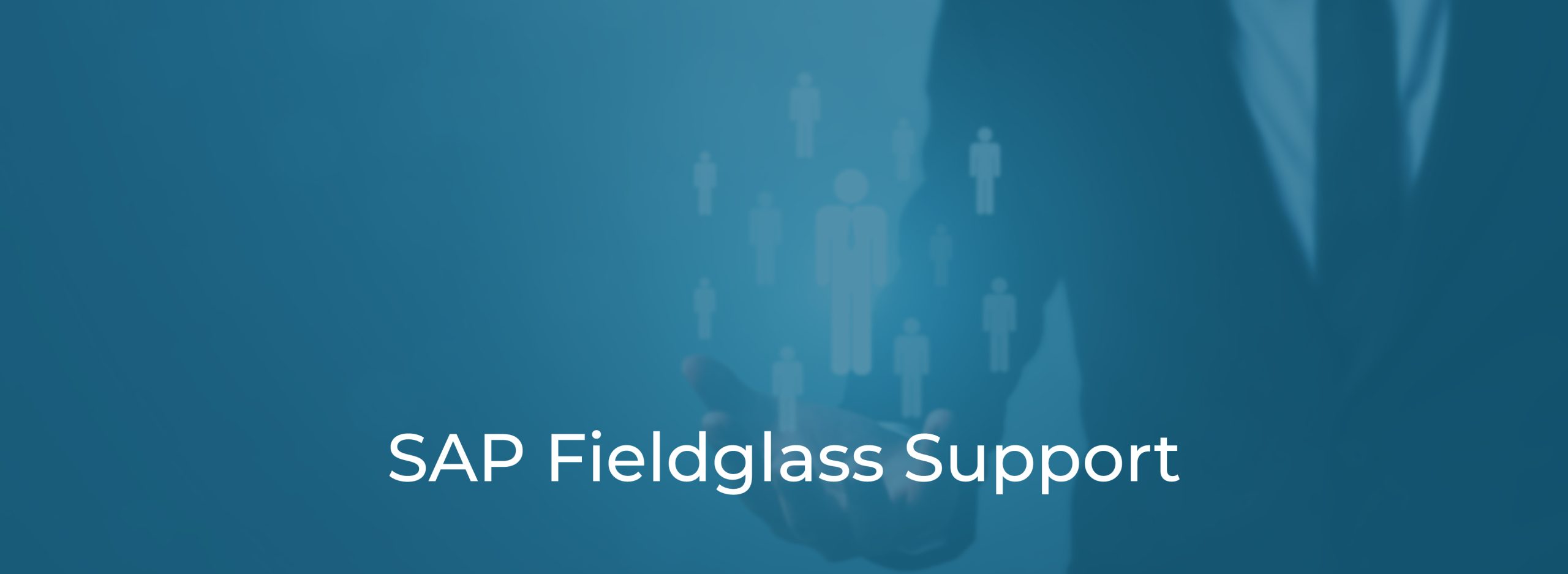 SAP Fieldglass Support